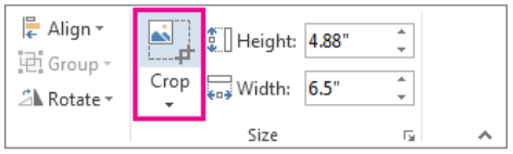 ms word image crop settings